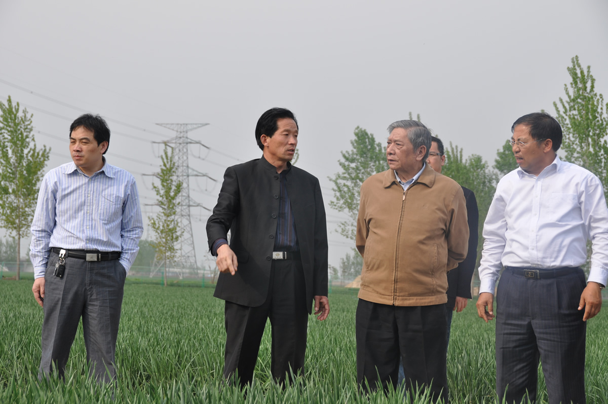 原國麥中心主任胡廷積視察公司科研田